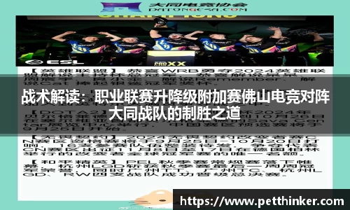 战术解读：职业联赛升降级附加赛佛山电竞对阵大同战队的制胜之道