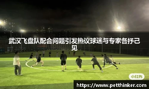 武汉飞盘队配合问题引发热议球迷与专家各抒己见