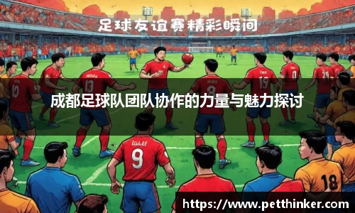 成都足球队团队协作的力量与魅力探讨