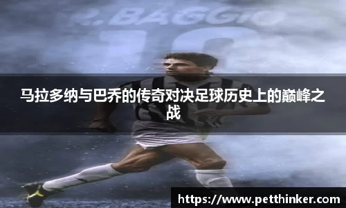 JBO竞博体育